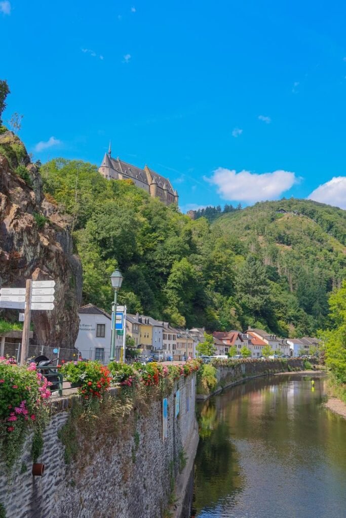 whatsapp image 2025 12 29 at 6.49.08 pm