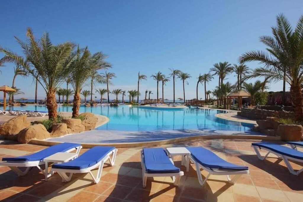 whatsapp image 2024 04 12 at 6.41.19 pm 1